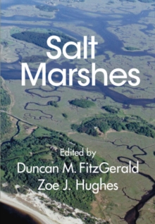 Image for Salt marshes  : function, dynamics, and stresses
