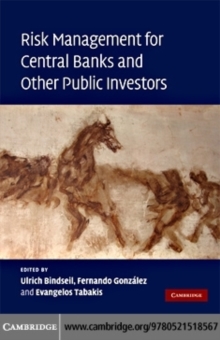 Image for Risk management for central banks and other public investors