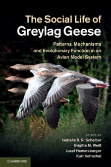 Image for The social life of greylag geese: patterns, mechanisms and evolutionary function in an avian model system