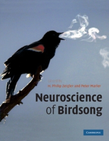 Image for Neuroscience of Birdsong