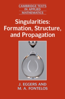 Image for Singularities  : formation, structure, and propagation