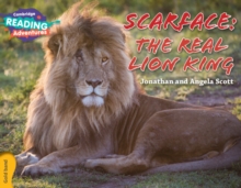 Image for Cambridge Reading Adventures Scarface: The Real Lion King Gold Band