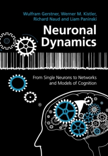 Image for Neuronal dynamics  : from single neurons to networks and models of cognition