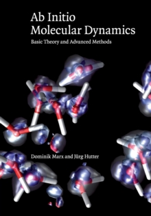 Image for Ab Initio Molecular Dynamics