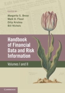 Image for Handbook of Financial Data and Risk Information 2 Volume Hardback Set