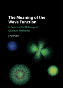 Image for Meaning of the Wave Function: In Search of the Ontology of Quantum Mechanics