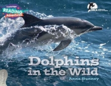 Image for Dolphins in the wild