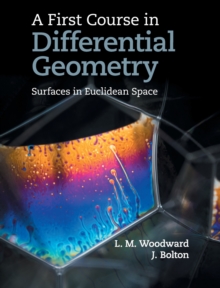 Image for A First Course in Differential Geometry