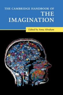Cambridge Handbook of the Imagination