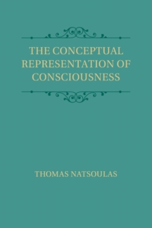 Conceptual Representation of Consciousness
