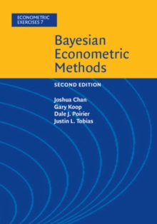 Image for Bayesian econometric methods
