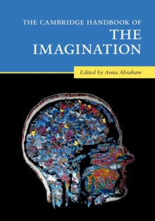 Image for The Cambridge handbook of the imagination