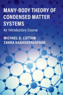 Image for Many-body theory of condensed matter systems  : an introductory course