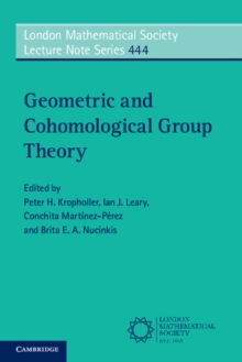 Image for Geometric and cohomological group theory