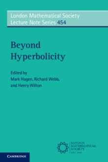 Image for Beyond Hyperbolicity