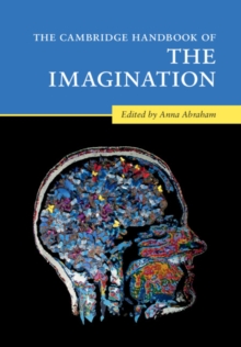 Image for The Cambridge Handbook of the Imagination