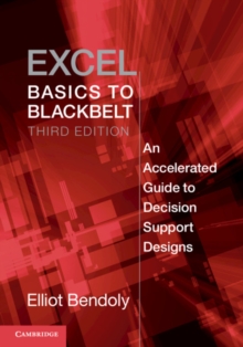 Image for Excel basics to blackbelt  : an accelerated guide to decision support designs