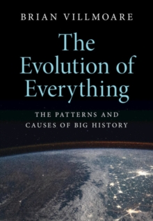 Image for The evolution of everything  : the patterns and causes of big history