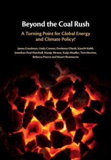 Image for Beyond the coal rush: a turning point for global energy and climate policy?