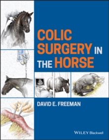 Image for Colic Surgery in the Horse