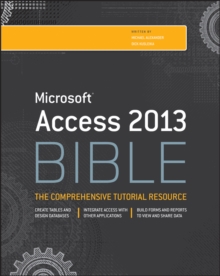 Image for Access 2013 bible