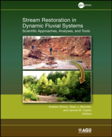 Image for Stream Restoration in Dynamic Fluvial Systems: Scientific Approaches, Analyses, and Tools