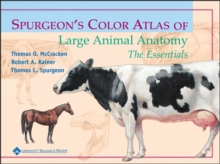 Image for Spurgeon's color atlas of large animal anatomy: the essentials