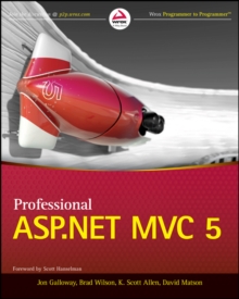 Image for Professional ASP.NET MVC 5
