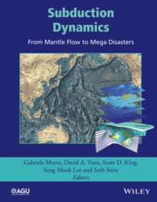 Image for Subduction dynamics