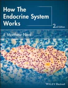 Image for How the endocrine system works