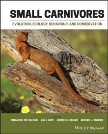 Image for Small carnivores  : evolution, ecology, behaviour and conservation