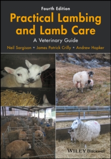 Image for Practical lambing and lamb care  : a veterinary guide