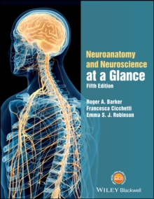 Image for Neuroanatomy and neuroscience at a glance