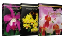 Image for Micropropagation of orchids