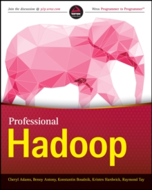 Image for Professional Hadoop