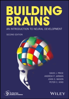 Image for Building Brains