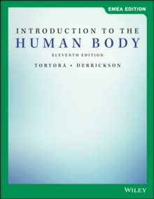 Image for Introduction to the human body