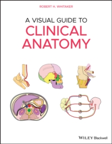 Image for A Visual Guide to Clinical Anatomy