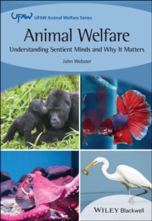 Image for Animal welfare: Understanding sentient minds and why it matters