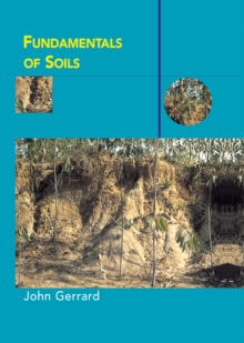 Image for Fundamentals of soils