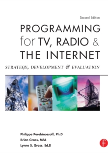 Image for Programming for TV, radio, and the Internet: strategy, development, and evaluation