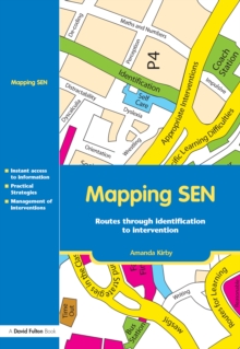 Image for Mapping SEN: routes through identification to intervention