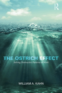 Ostrich Effect