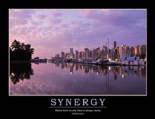 Image for Synergy Poster