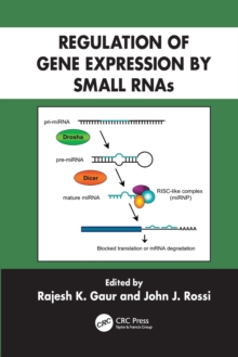 Regulation of Gene Expression by Small RNAs