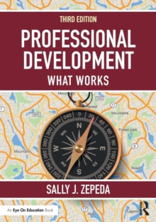 Image for Professional development  : what works