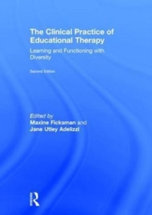 Image for The Clinical Practice of Educational Therapy