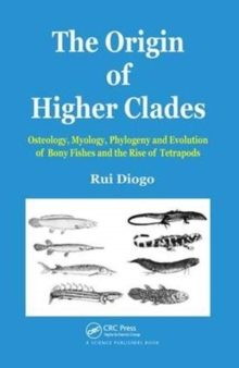 Origin of Higher Clades