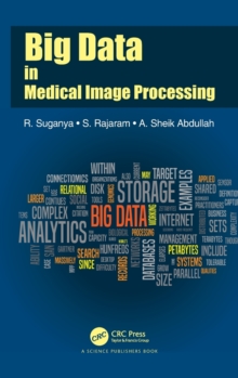 Image for Big data in medical image processing