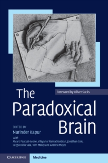 Image for Paradoxical Brain